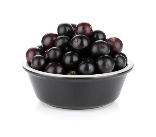 Black currant in small bowl — Stock Photo, Image