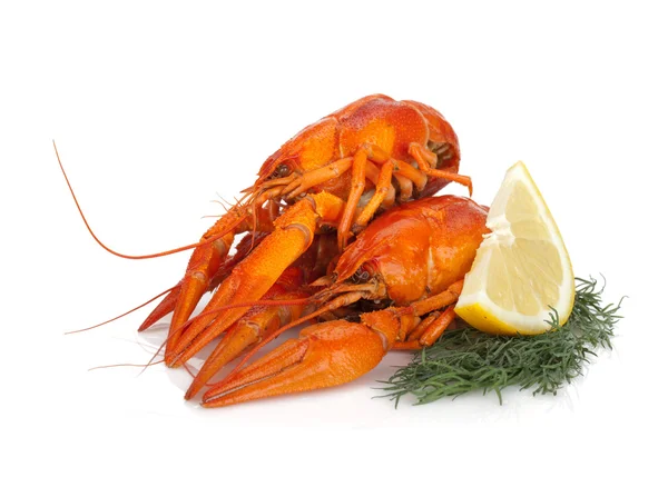 Limon dilimi ve dereotu ile haşlanmış crayfishes — Stok fotoğraf