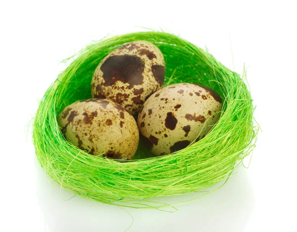 Nest with quail eggs over white background — Stock Photo, Image