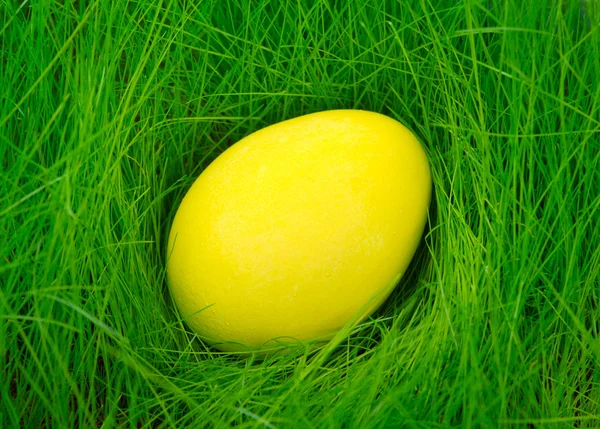 Желтое пасхальное яйцо в траве — стоковое фото