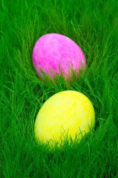 Festett színes húsvéti tojás a fűben — Stock Fotó