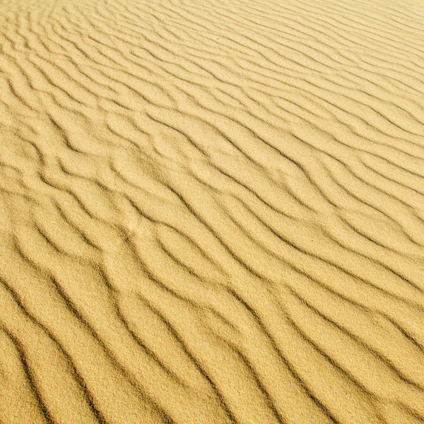 Fundo de areia do deserto de uma duna de cuspo curônio — Fotografia de Stock