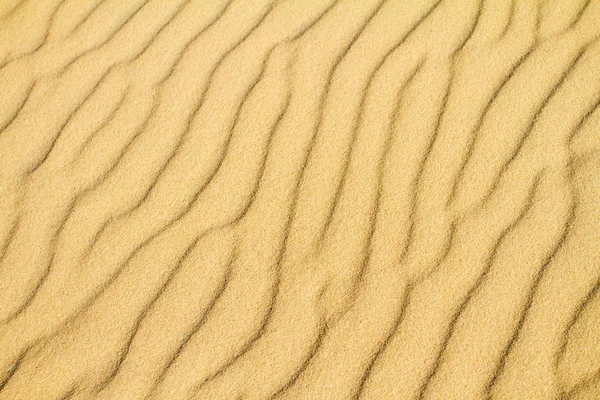 Fond de sable désertique d'une dune de flèche couronnée — Photo