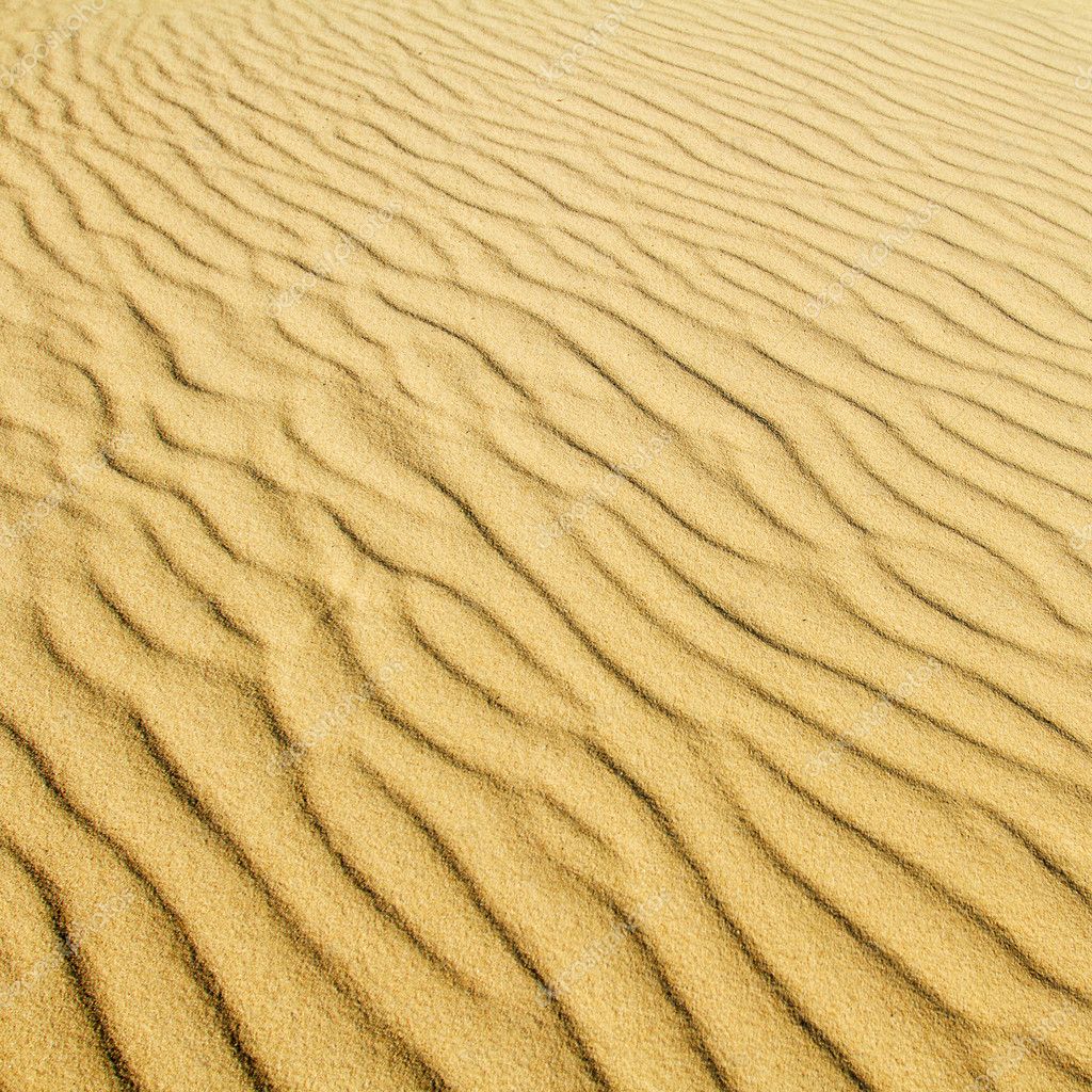 Desert Sand Background Of A Curonian Spit Dune Stock Photo Image By C Mazzzur