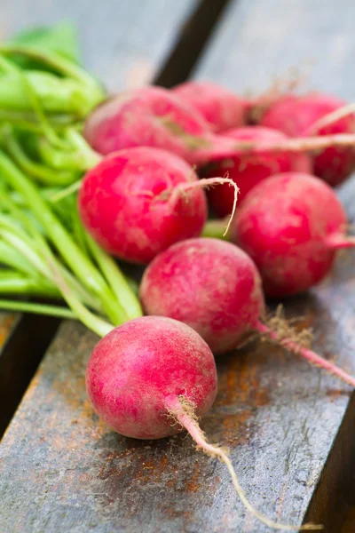 Fresh radishes on a wooden background — Stock Photo, Image