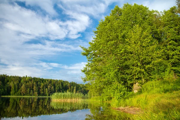 森の湖、夏の風景 — ストック写真