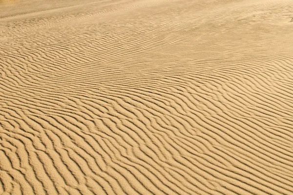 Sivatagi homok háttér a Kur-földnyelv a dűne — Stock Fotó