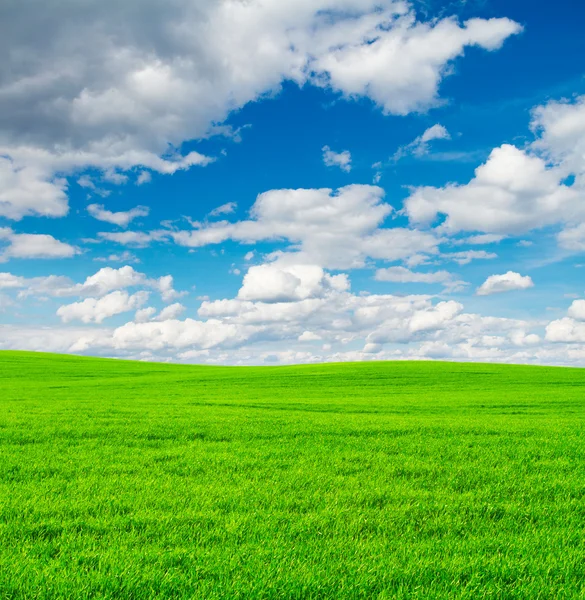Gröna fält och blå himmel bakgrund — Stockfoto