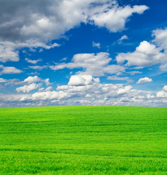 Zielone pole i błękitne niebo tło — Zdjęcie stockowe