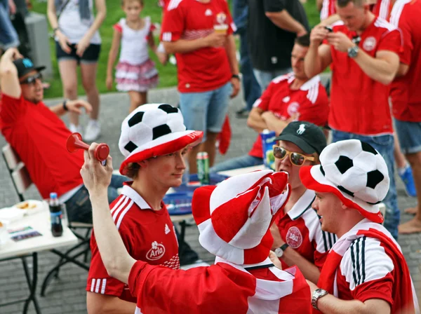 stock image Denmark football fans