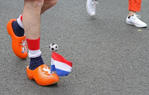 Netherlands fans — Stock Photo, Image