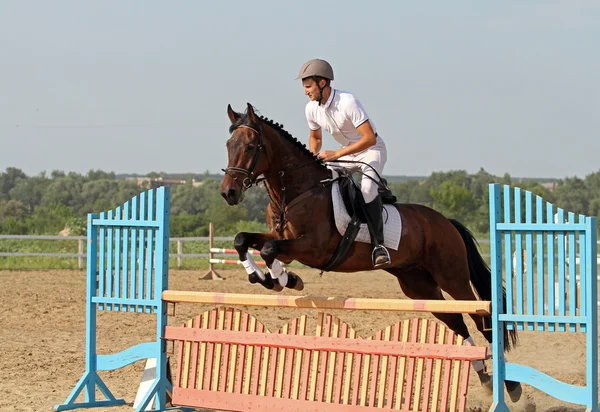 Show jumping — Stock Photo, Image