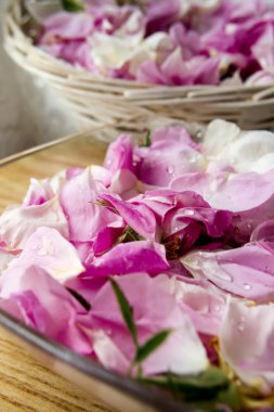 pembe gül yaprakları