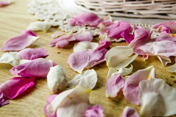 stock image Pink rose petals