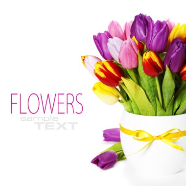 Fresh tulips clipart