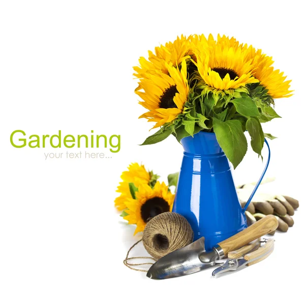 Zonnebloemen en tuingereedschap — Stockfoto