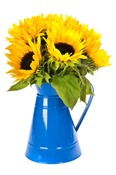 Solrosor i en blå vas — Stockfoto
