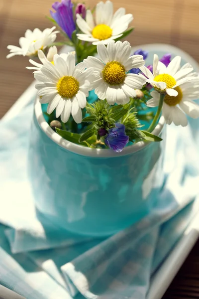 Bouquet daisies — Stock Photo, Image