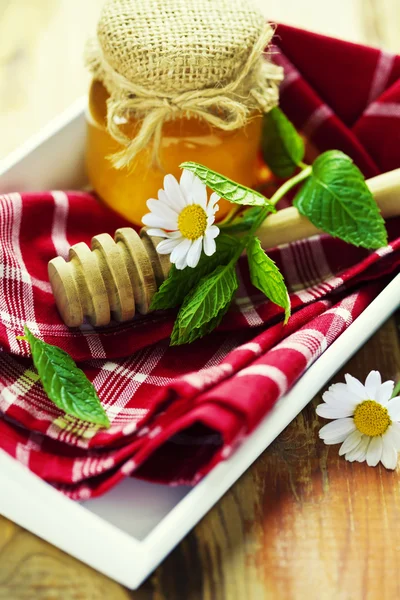 Μέλι και λουλούδια — Φωτογραφία Αρχείου