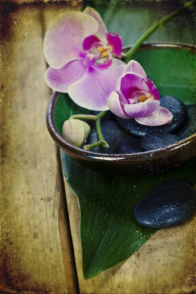 Σύνθεση του orchid spa — Φωτογραφία Αρχείου