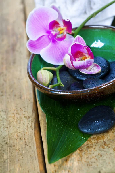 Composição do spa do Orchid — Fotografia de Stock