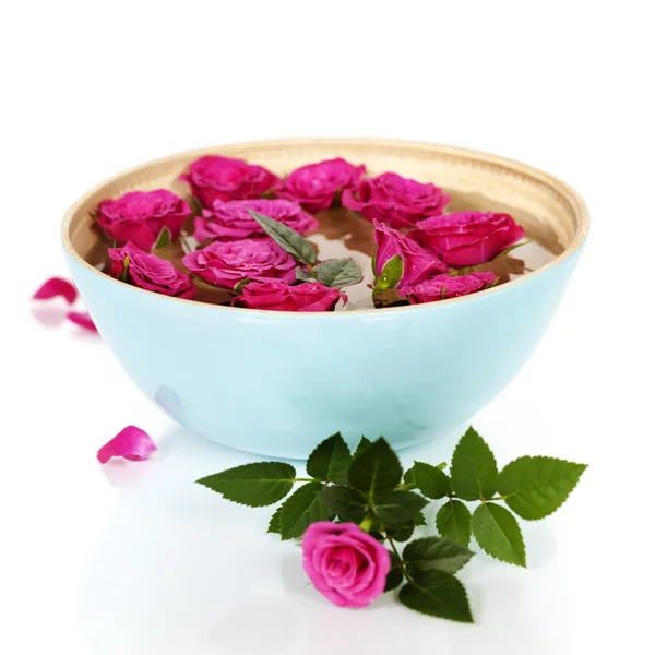 Rose rosa in ciotola — Foto Stock