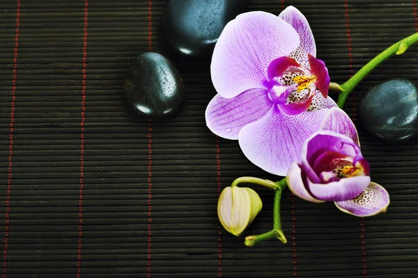 Composición de spa de orquídea —  Fotos de Stock