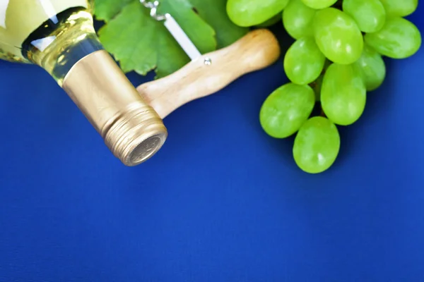 Białego wina i świeżych winogron — Zdjęcie stockowe