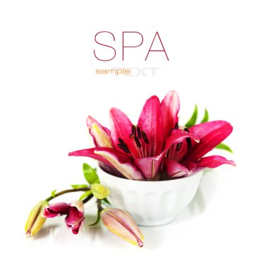 SPA treatment clipart