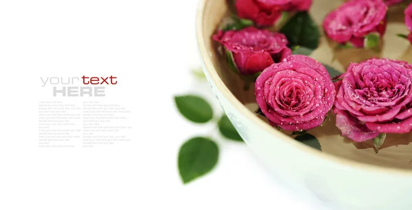 Rosa rosor i skål — Stockfoto
