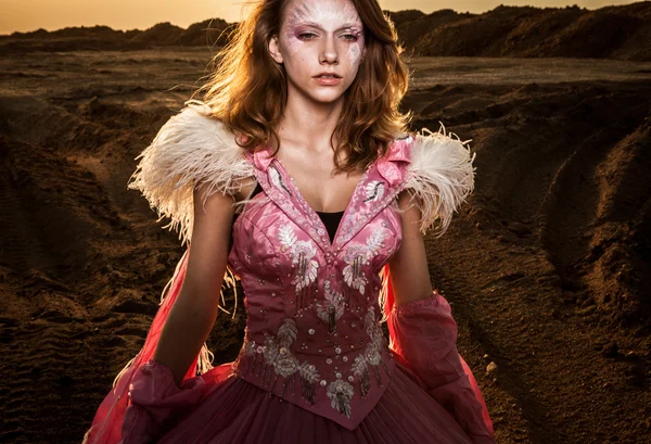 Портрет привлекательной романтичной женщины на сухом поле феи . — стоковое фото