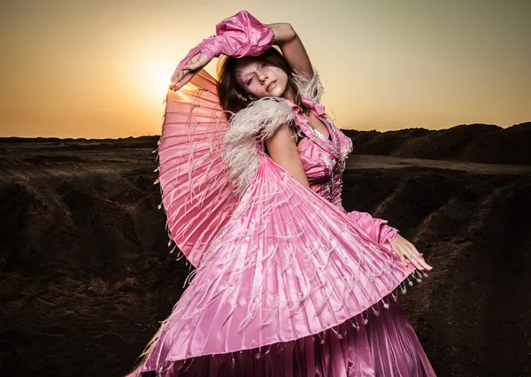 Retrato de mujer romántica atractiva en el campo seco de hadas . —  Fotos de Stock