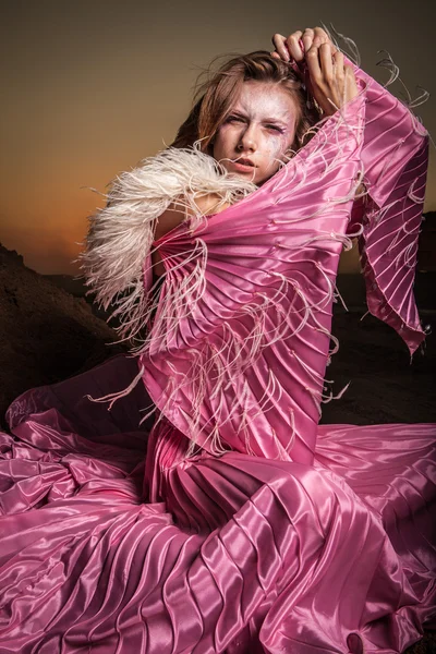 Retrato de mujer romántica atractiva en el campo seco de hadas . —  Fotos de Stock