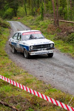 Ford Ralli