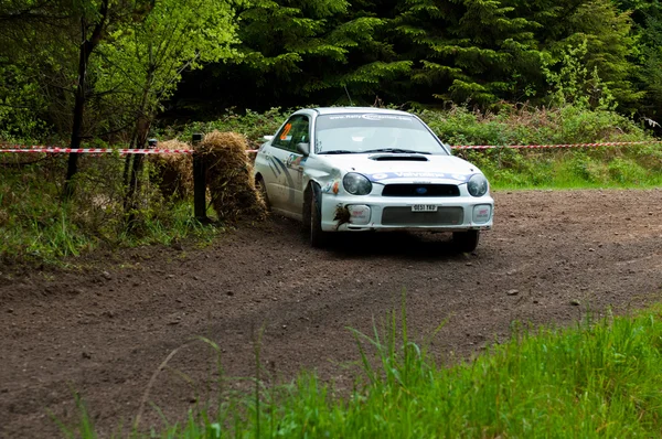 Коннорс за рулём Subaru Impreza — стоковое фото