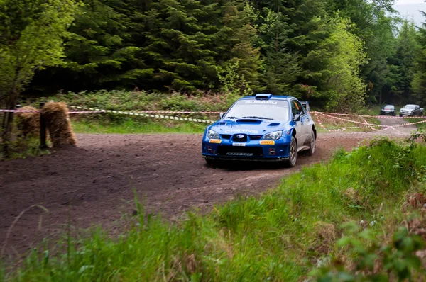М. Кернс за рулем Subaru Impreza — стоковое фото