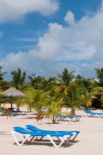 Strand in Antigua — Stockfoto