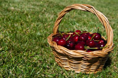 Cherries in a basket clipart