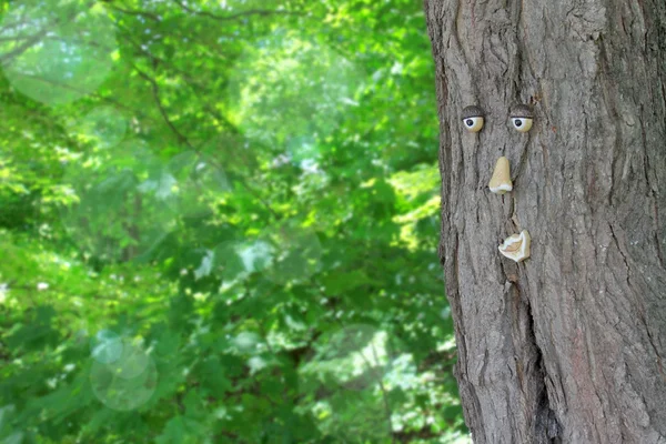 Träd med ett ansikte — Stockfoto