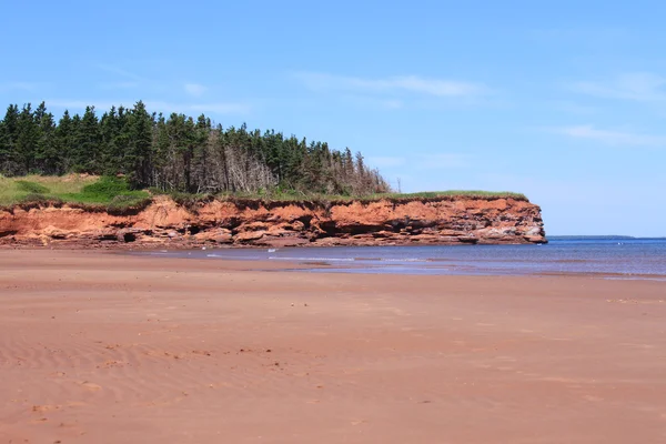 stock image Red sand cliffs