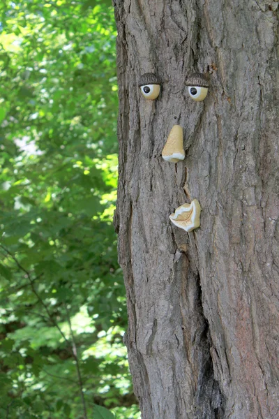 Tree with a face — Stock Photo, Image