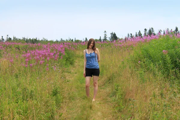 Pretty woman in field of lupins — Stock Photo, Image