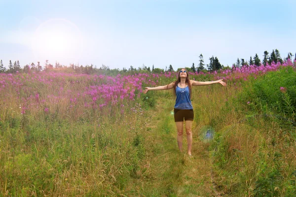 Hippie meisje in veld — Stockfoto