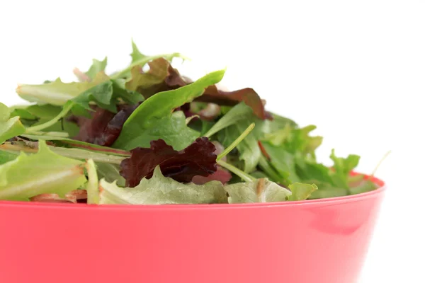 Karışık yeşil salata — Stok fotoğraf