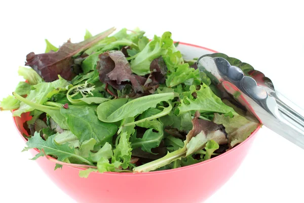 Смешанная зелень для салата — стоковое фото