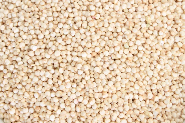 Grão de quinoa — Fotografia de Stock