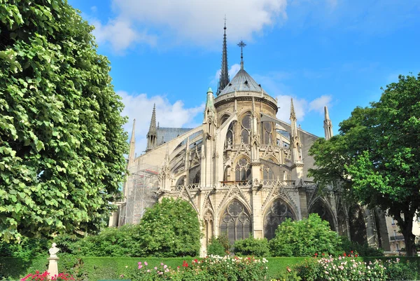 Paris. Notre Dame — Stock Photo, Image