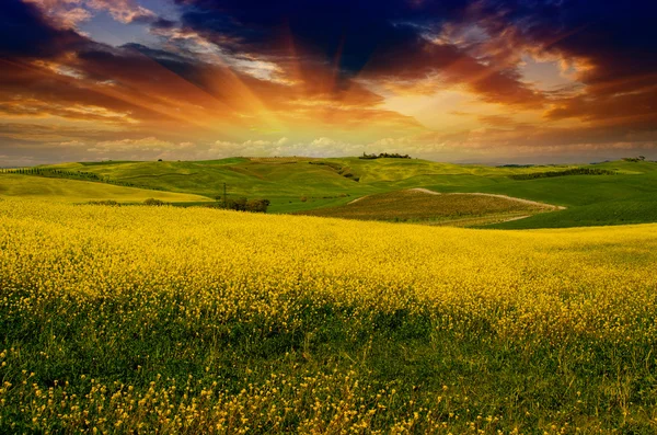 Paysage et prairies de Toscane, Saison printanière — Photo