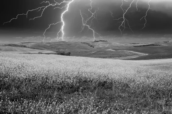 Stormachtig weer boven Toscaanse weide, lentetijd — Stockfoto