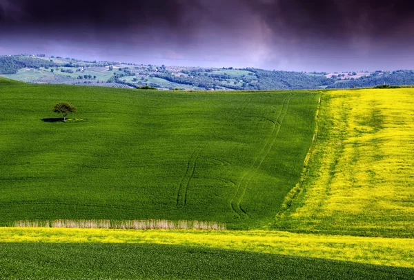 Landschap- en weidelandschap van Toscane, lente seizoen — Stockfoto